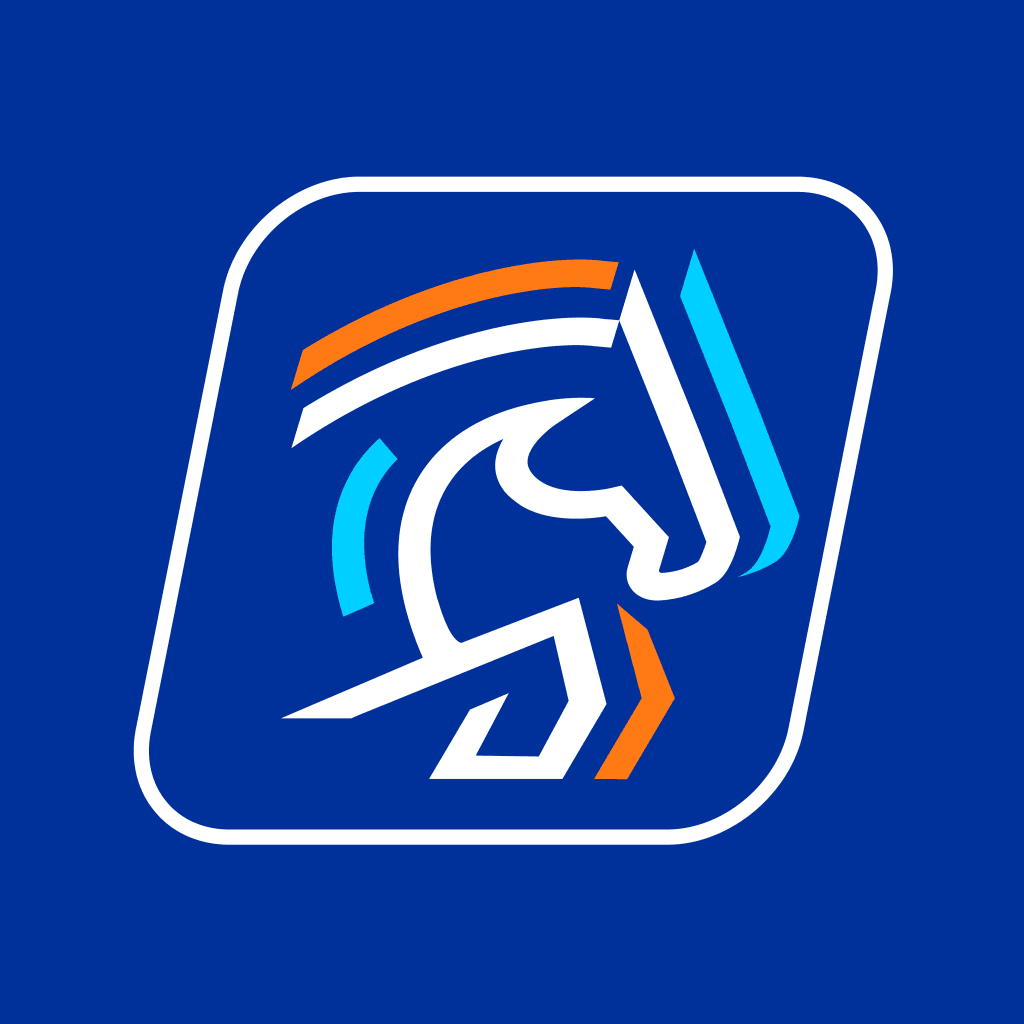 Son Düzlük logosu