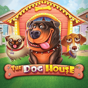 The Dog House oyun görseli